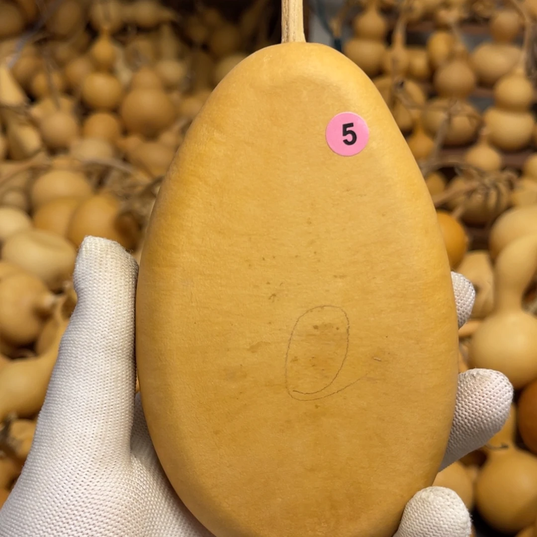 闪拍葫芦链接-5号品