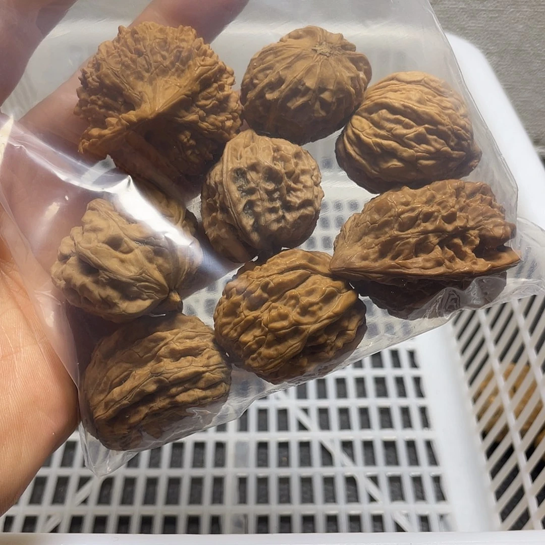 *****文玩核桃吊坠不退不换