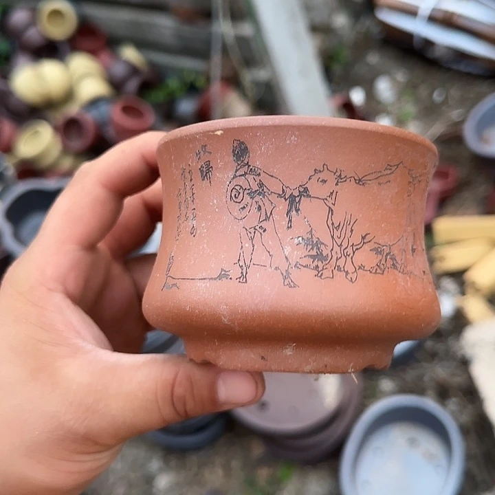 是一个集休闲农业的休闲胜地