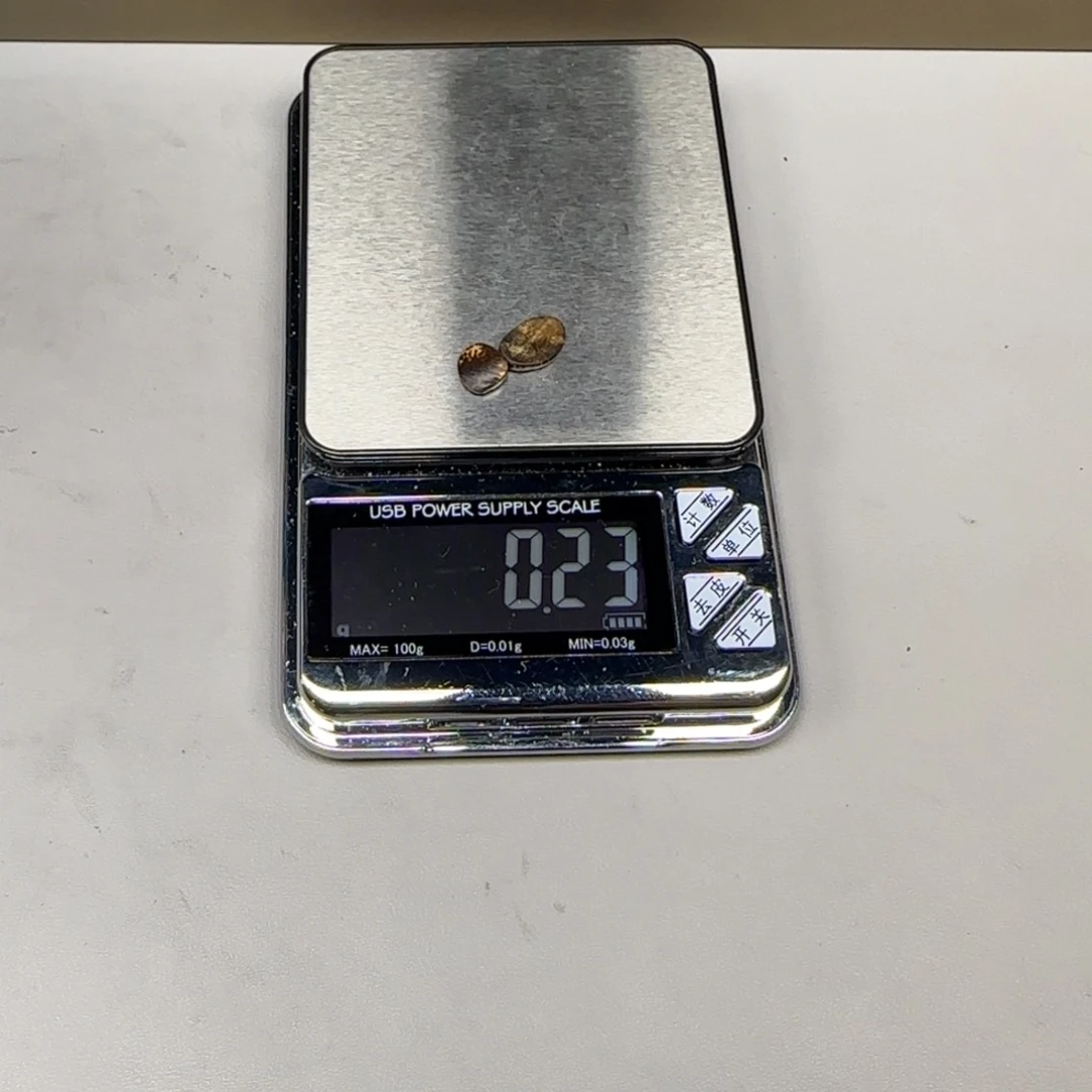 文莱文莱文莱文莱