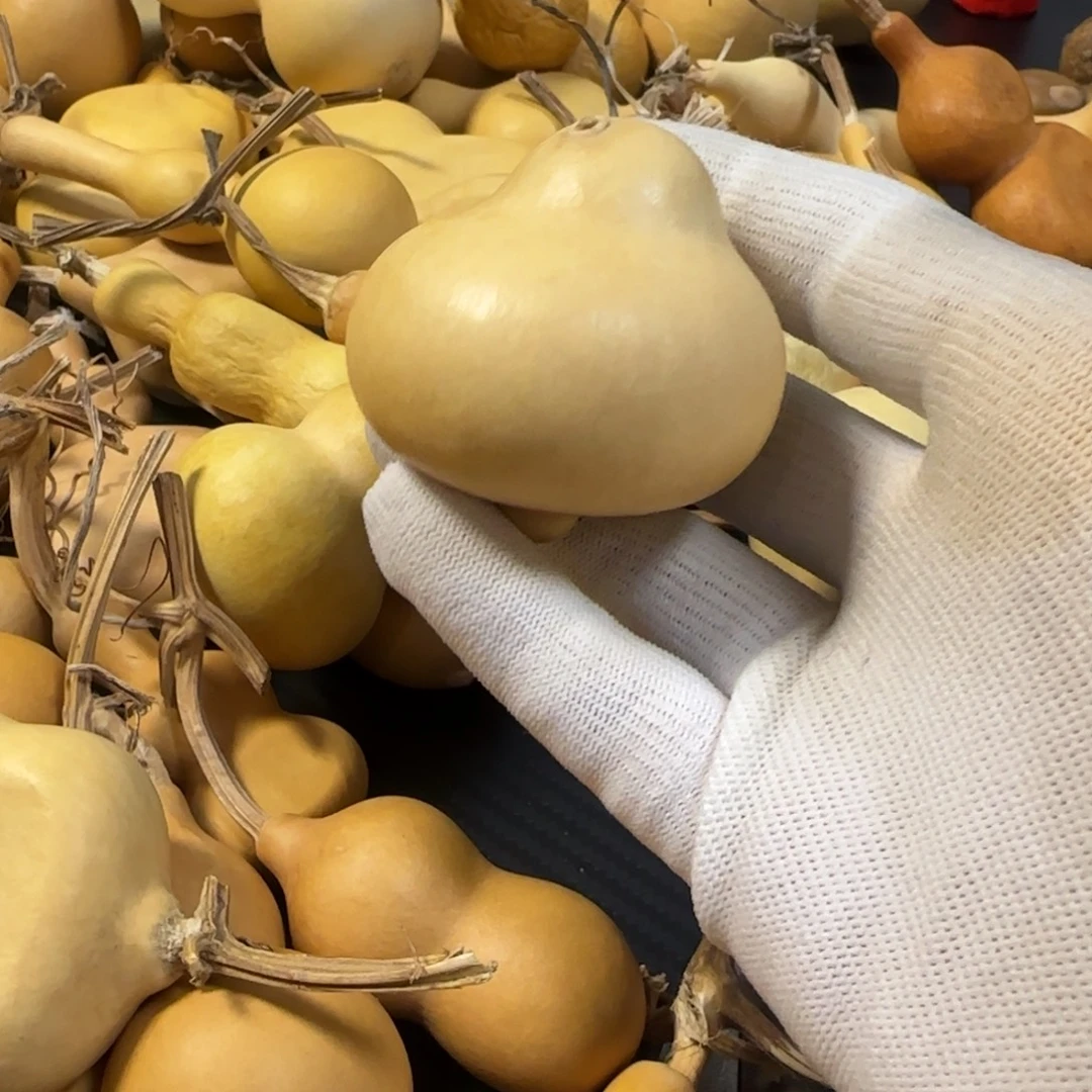 财***下葫芦葫芦葫芦葫芦葫芦