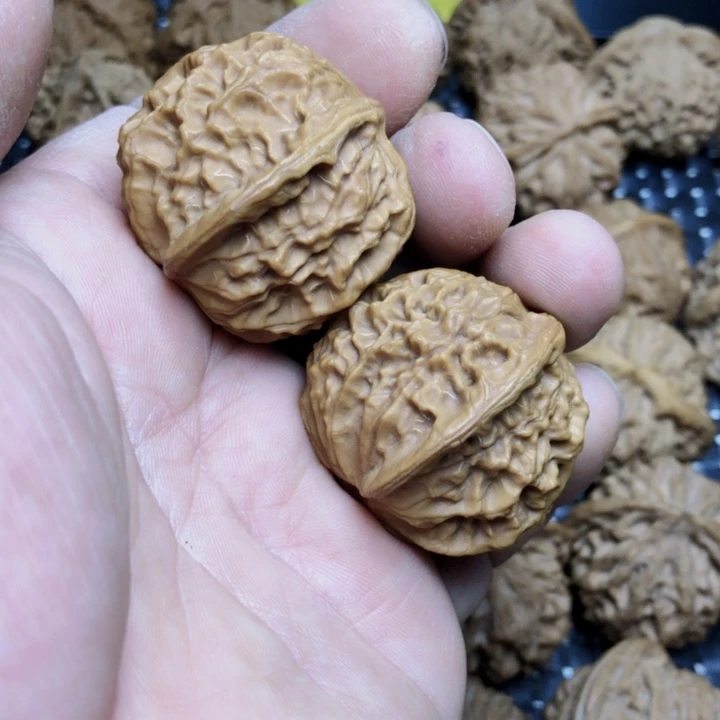 文玩核桃吊坠磊**玩瓷娃娃38