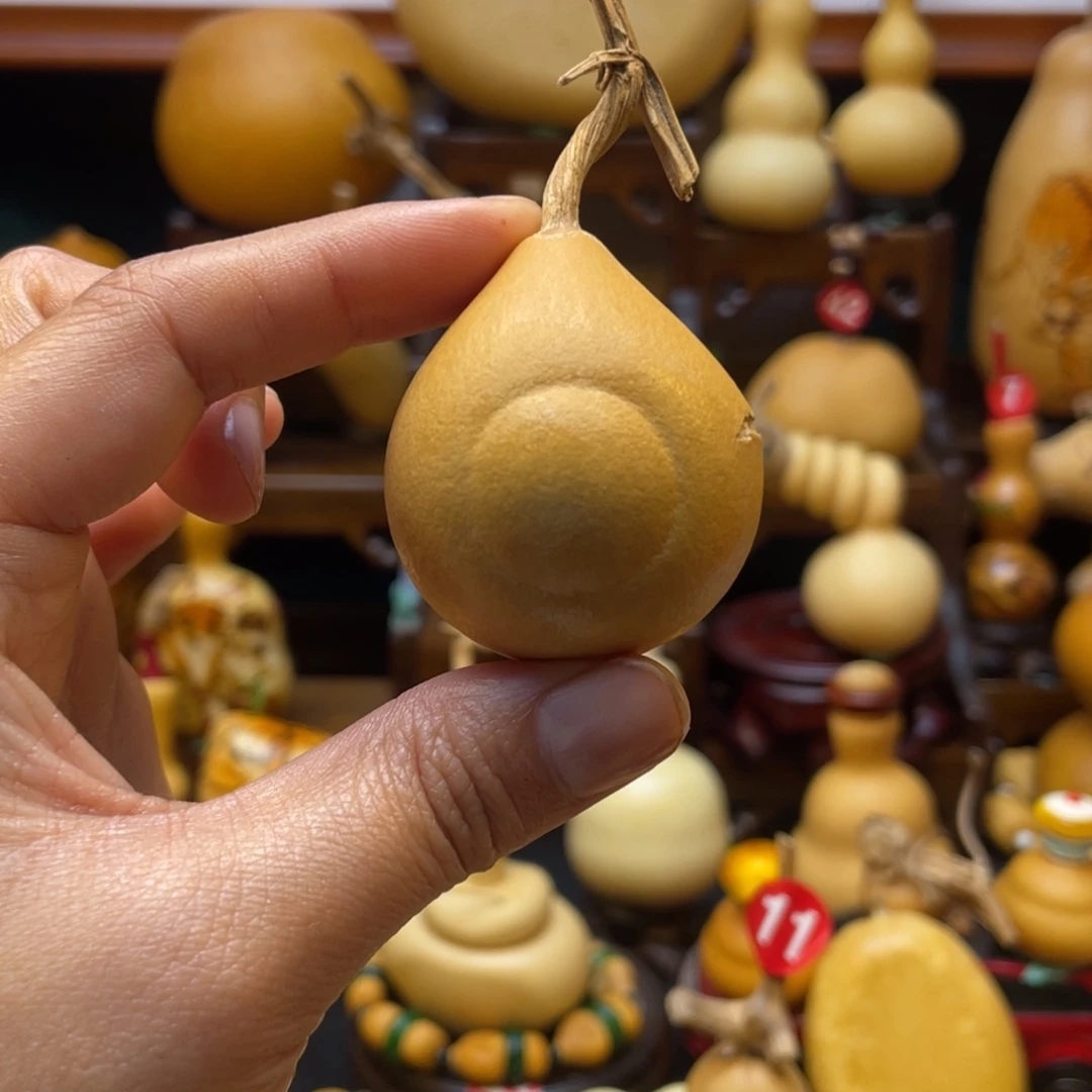 薛*薛大自然的秘密第十一节的故事第二章