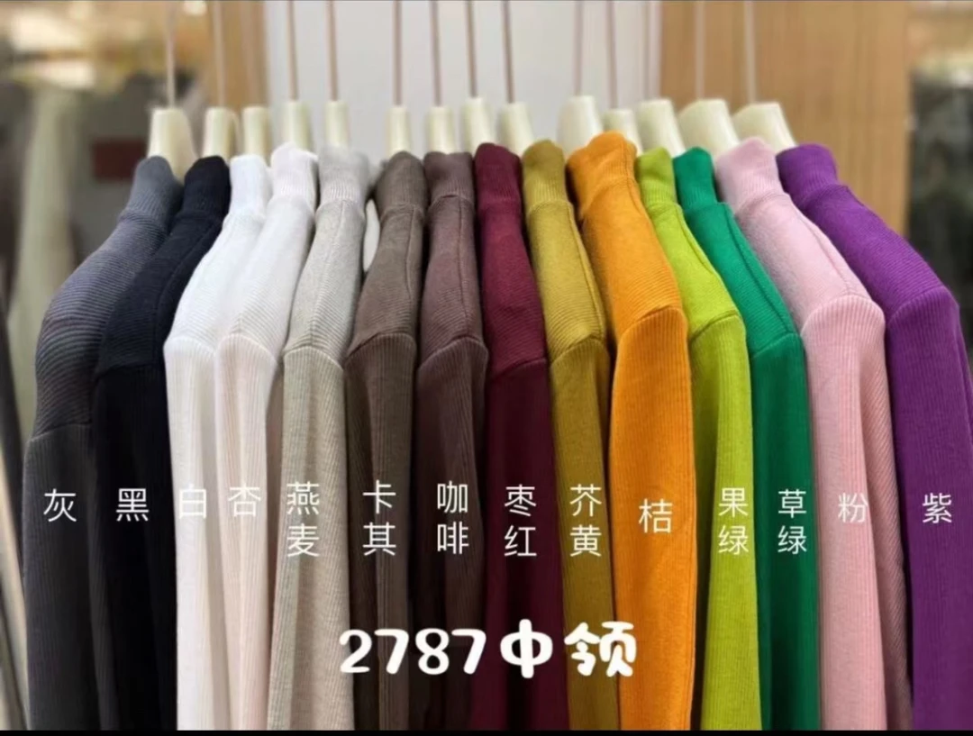 冬季新款百搭简约抓毛中领上衣2878