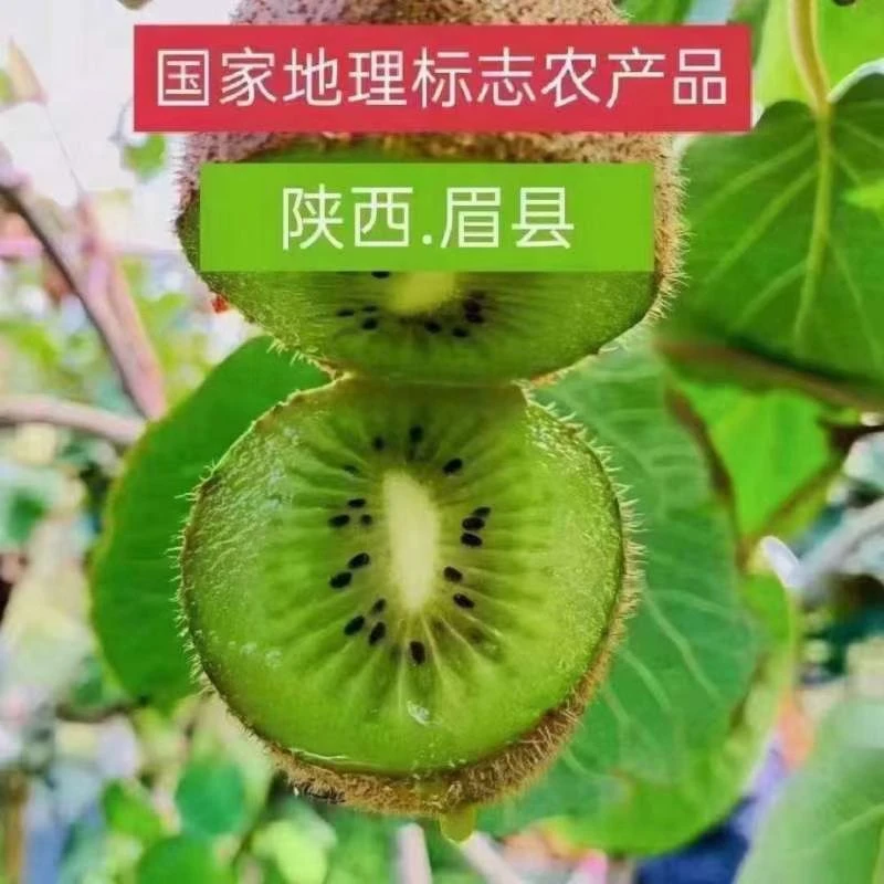 小包装  正宗【陕西眉县 徐香猕猴桃】