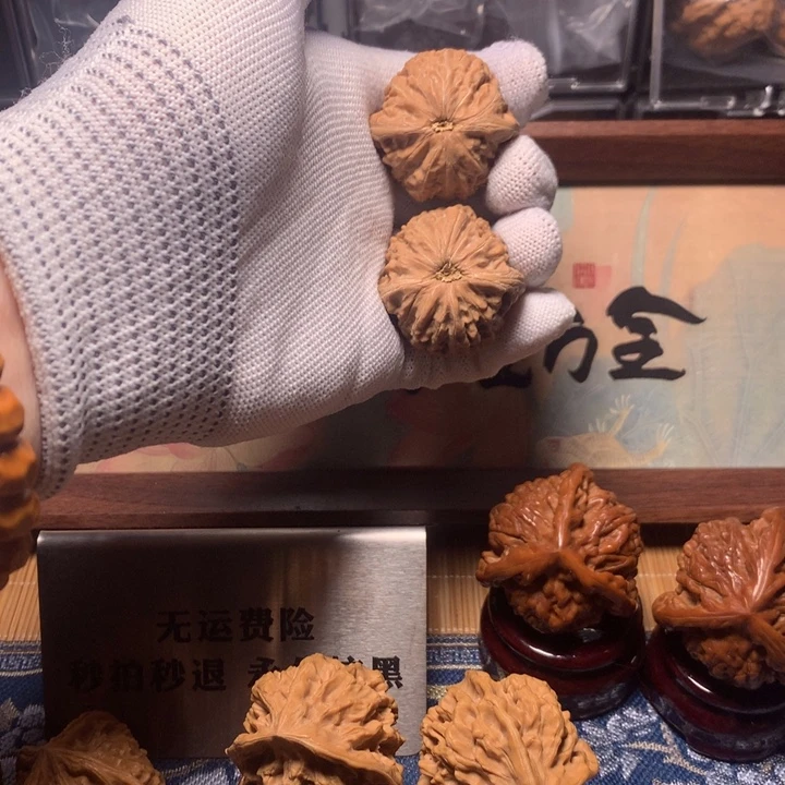 待***闲hhhhhhhhh哈哈哈哈