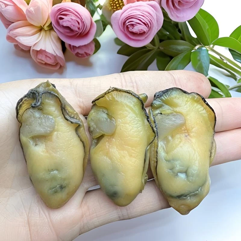 【金蚝干45头左右】5-6成干生晒 无抽油 煲汤 顺丰速冻冷链发货