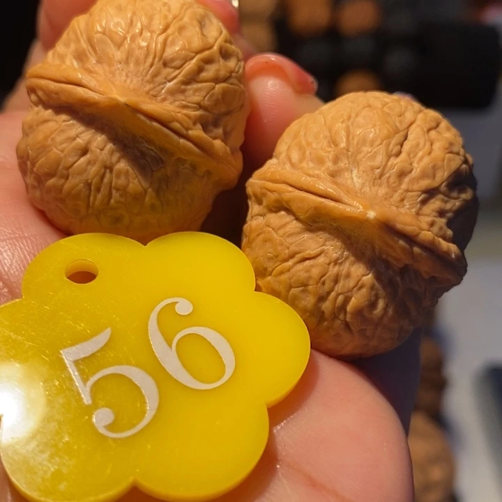 8号链接碧海龙珠34尺寸