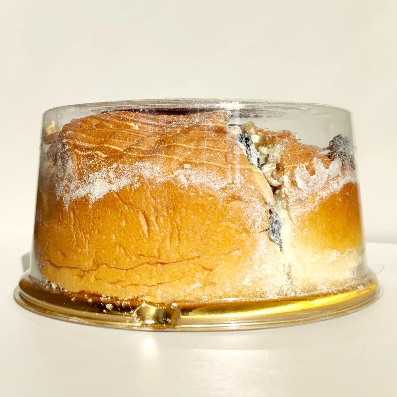 丑果新疆奶酪包410克/个新疆特产坚果奶酪糕点面包来自新疆的美食