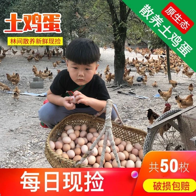 【助农福利】正宗农家散养土鸡蛋新鲜营养健康可生食1234