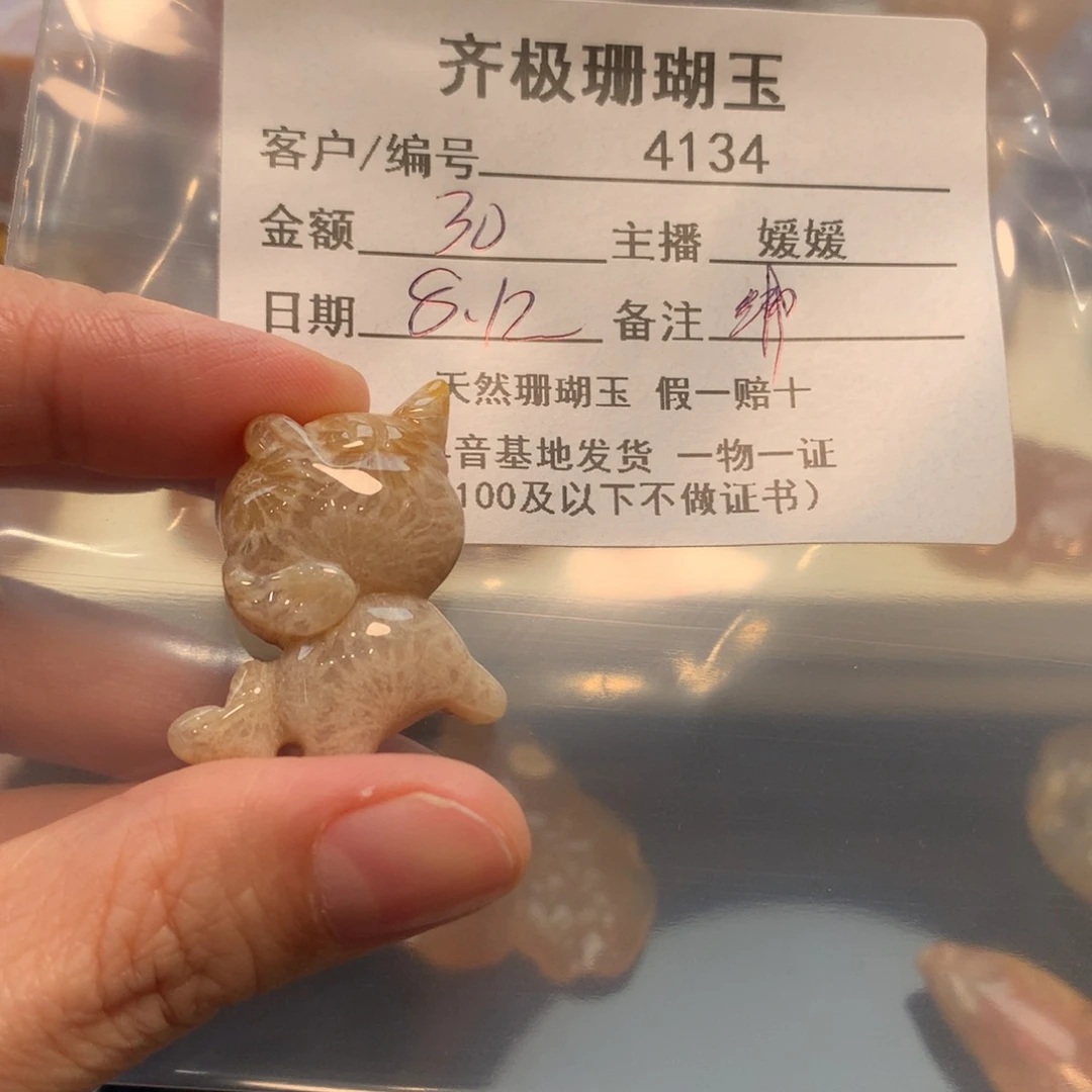 硅化珊瑚（珊瑚玉）未镶嵌颈饰很****？