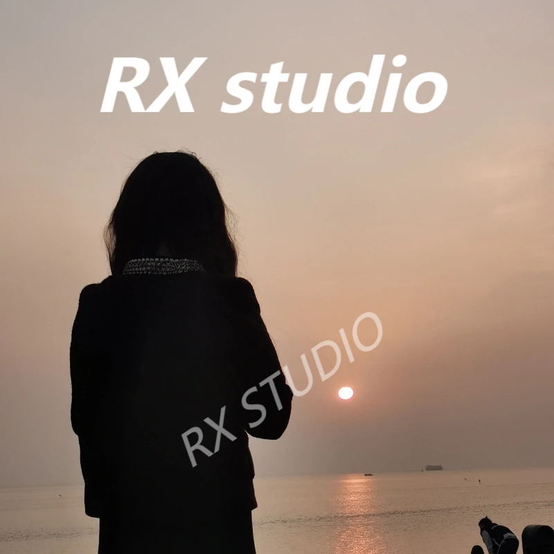 【南沙瑞熙】RC-25630-黑色-轻奢小众设计感时尚百搭女士包