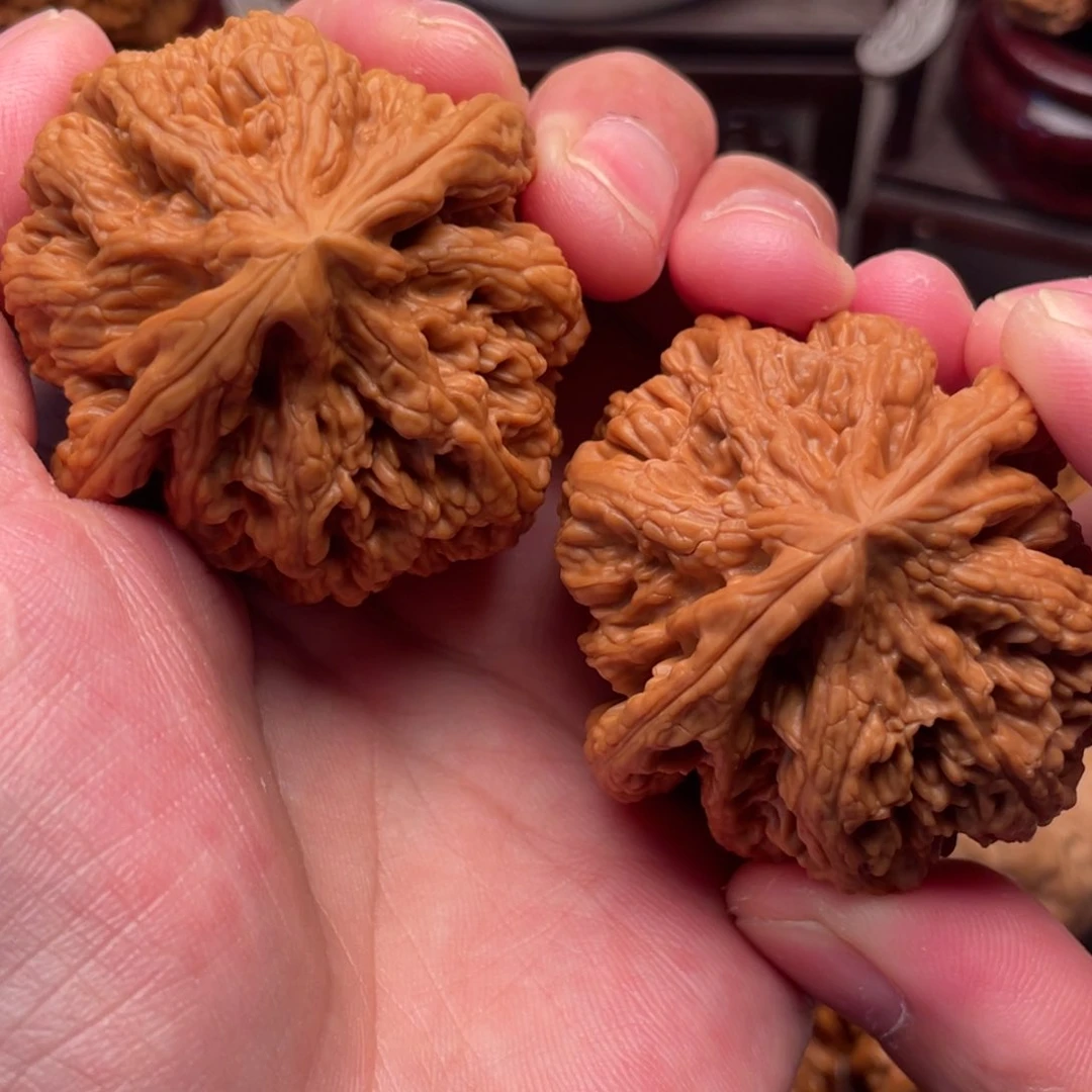 米****聖58.2克毕业平谷粗筋46+