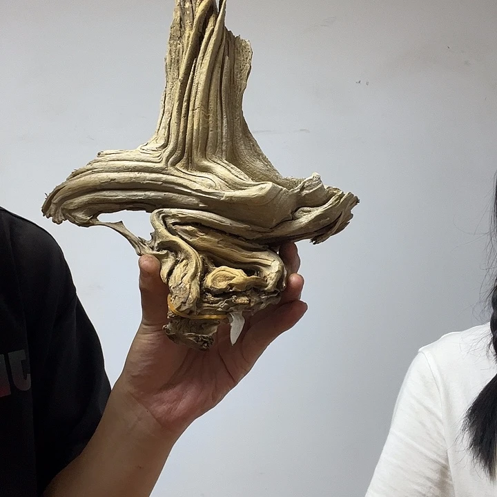 俺***样香榧木静下心来看看自己是不是真的不