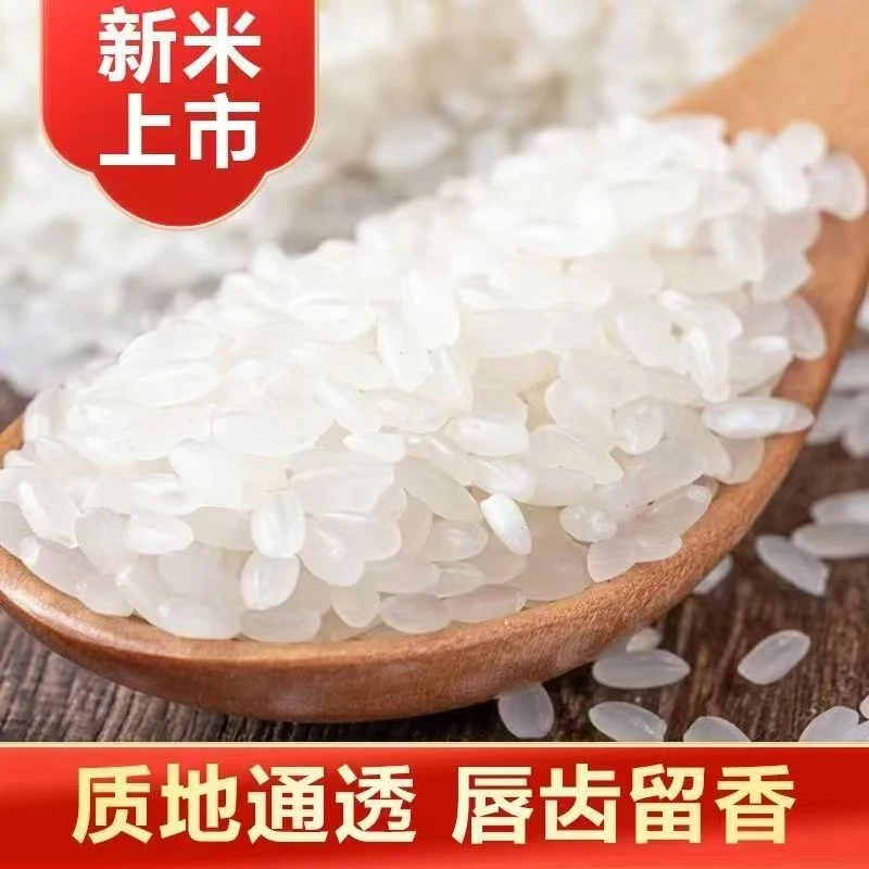 ~【东北大米】东北长粒清香大米 东北大米家家户户的选择 10斤装