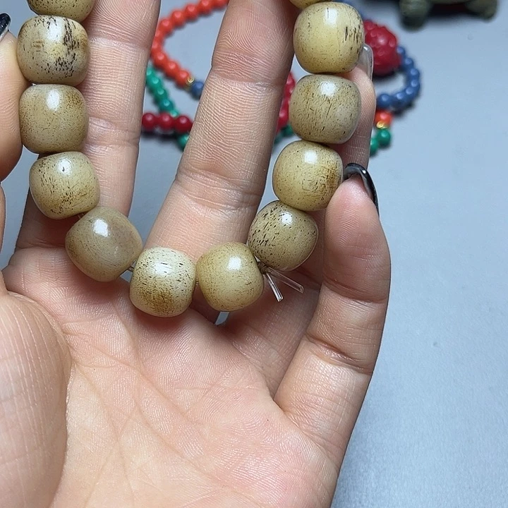 大果紫檀（缅甸花梨）