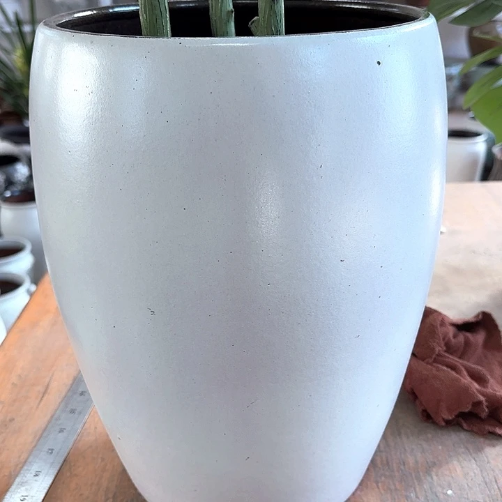 正品高33口23一个