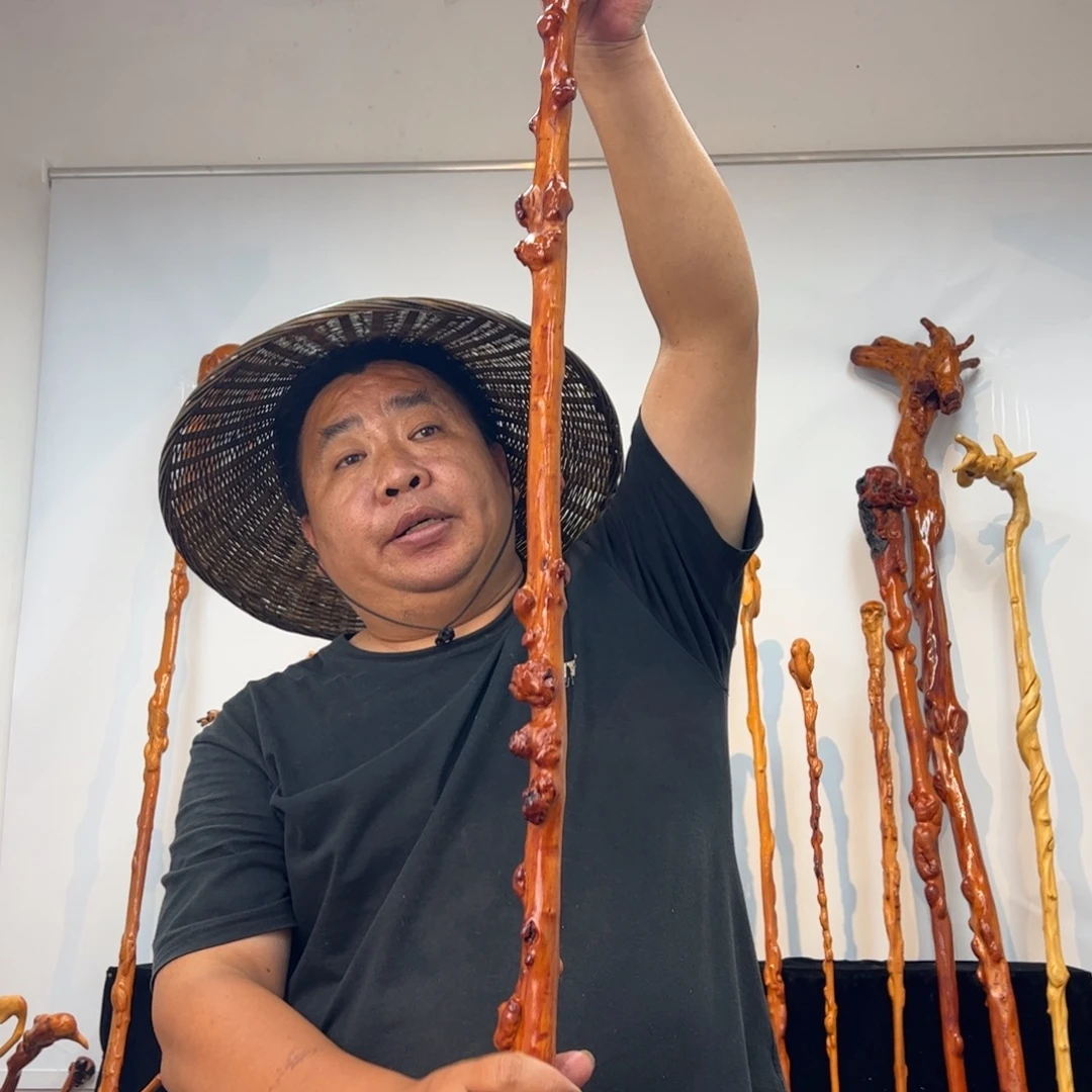 东***饰黑果木其他黑果木411