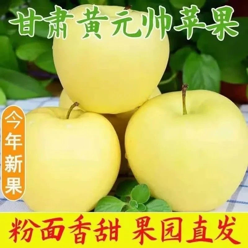 甘肃秦安黄元帅产地直发新鲜采摘特级优质孕妇小孩水果脆甜粉面