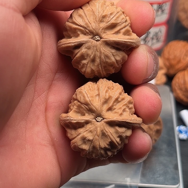 文玩核桃把件靠山王39