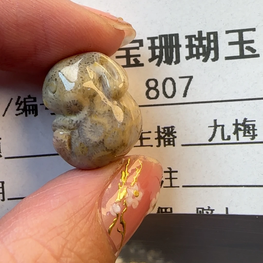 硅化珊瑚（珊瑚玉）未镶嵌颈饰