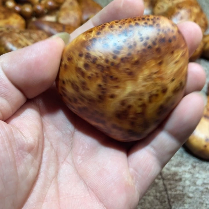 其他柏木（崖柏）把