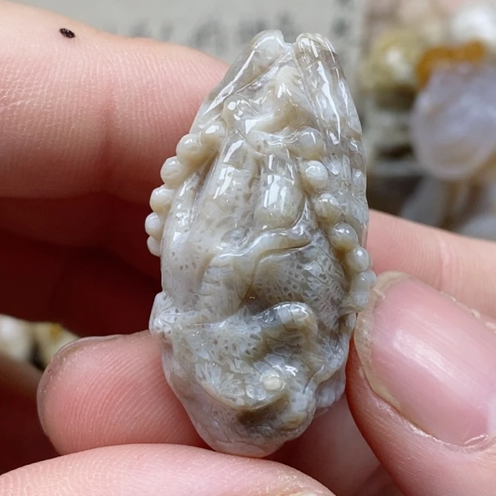 颈饰未镶嵌硅化珊瑚（珊瑚玉）
