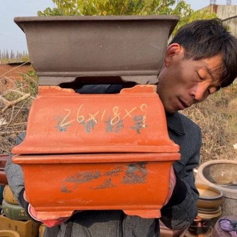 花盆紫砂特价包邮送盒子