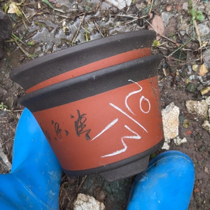 紫砂花盆紫砂的花