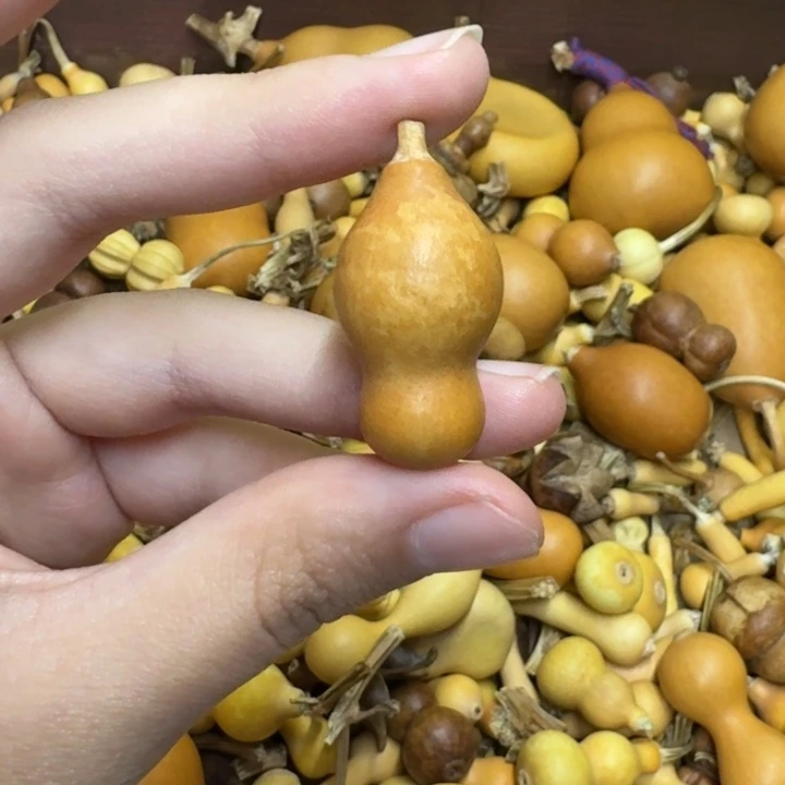 葫芦葫芦葫芦不包邮