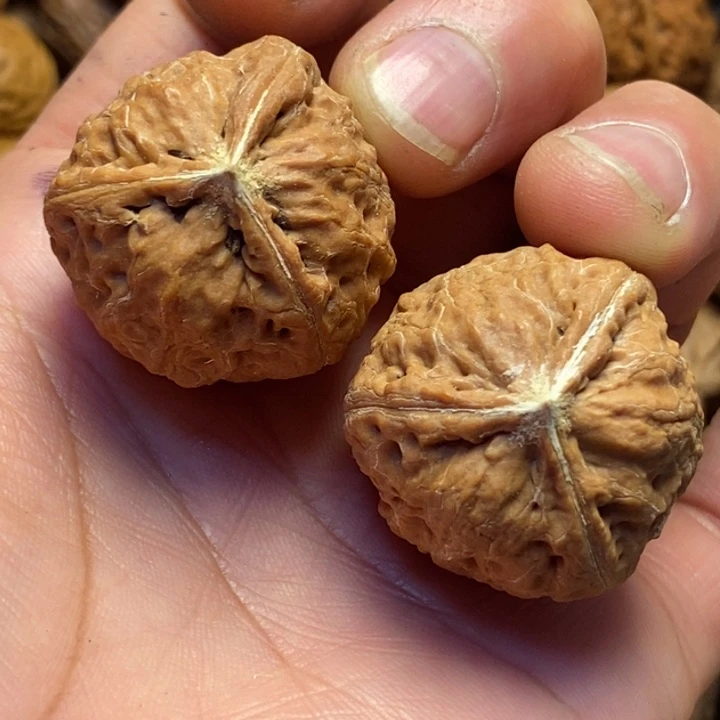 桃核吊坠东北特产81