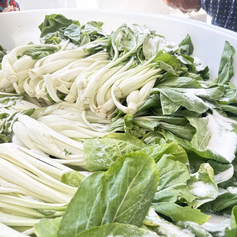 农家手工制作腌白菜高品质专业调味腌菜手工腌菜