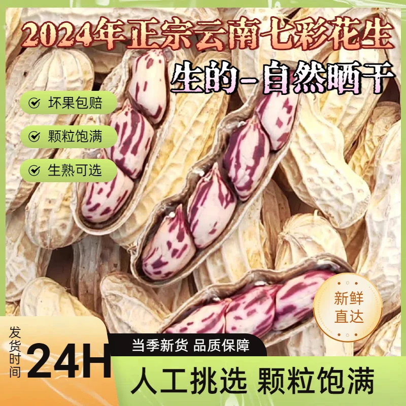 【生的】新货云南七彩花生带壳生熟七彩野地花生黑花生种植特级特产
