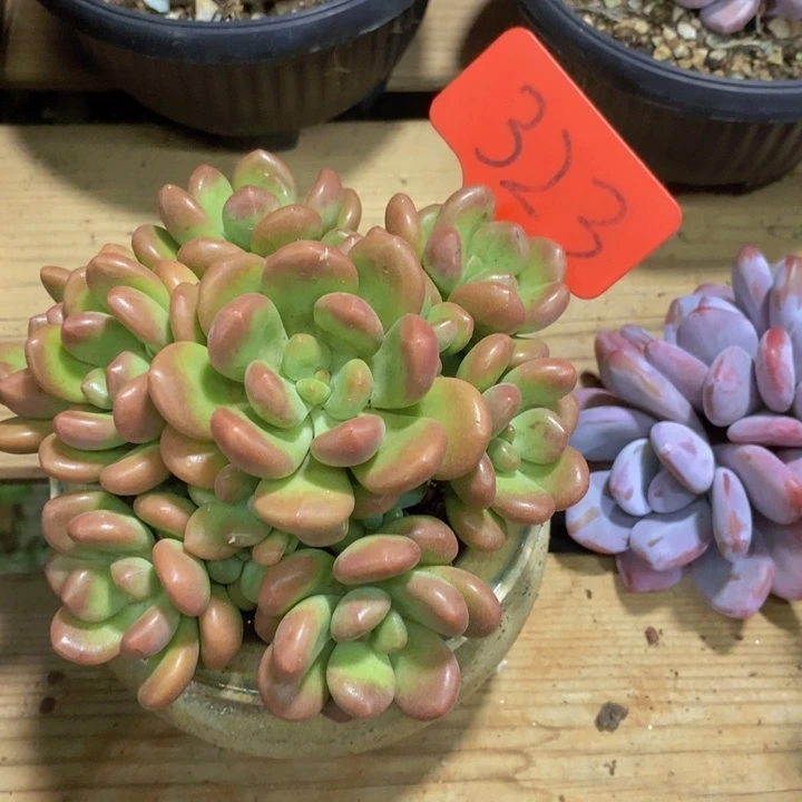 这么多钱干的什么啊