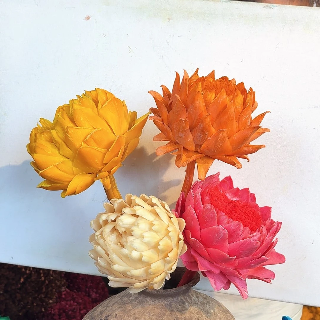 完全开放A88混色四枝