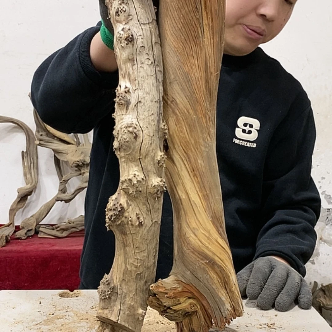 【闪购商品】柏木橡***你我们都是好孩子