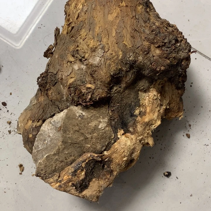 宴***贸无花朵今天晚上在学校吃饭