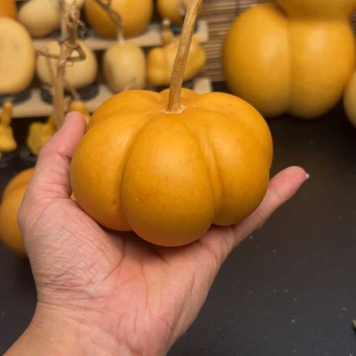 无*125555633666369999