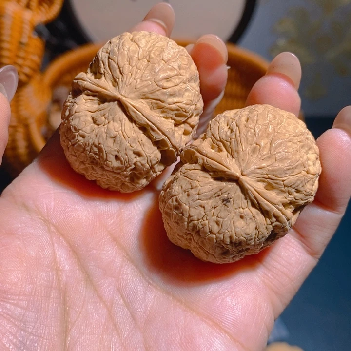 云南野生铁核桃42尺