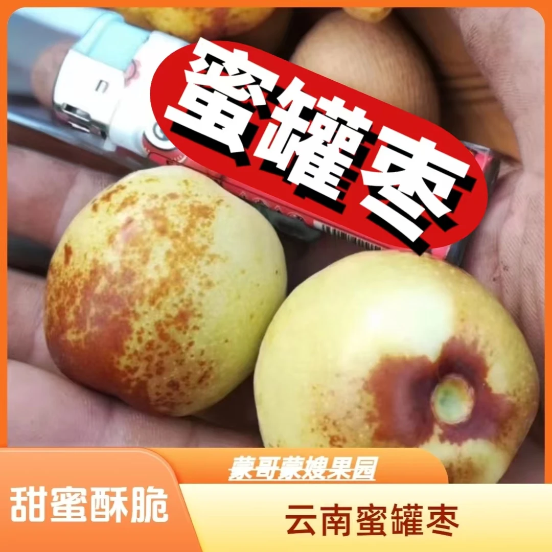 SF【顺丰包邮】云南蜜罐枣新鲜脆甜多汁皮薄肉厚果园基地直发