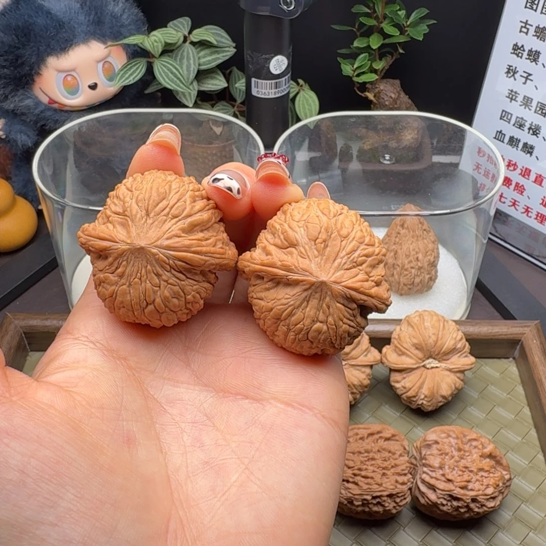 核桃全品泥鳅背40