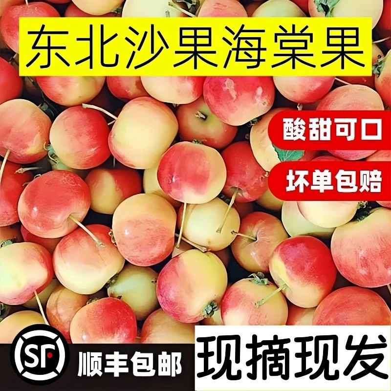 东北特产k9沙果海棠果酸甜爽脆应季水果冰糖心海棠花红果现摘新鲜