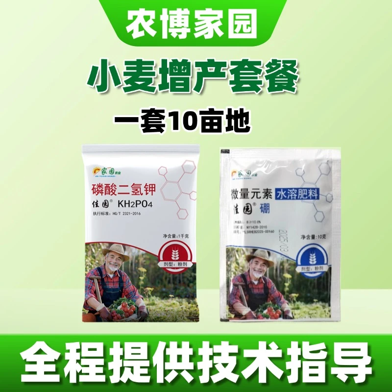 小麦增产套餐 1套10亩地补硼促开花二氢钾高含量性价比