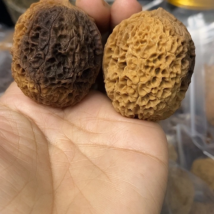 核桃云南铁核桃基地25