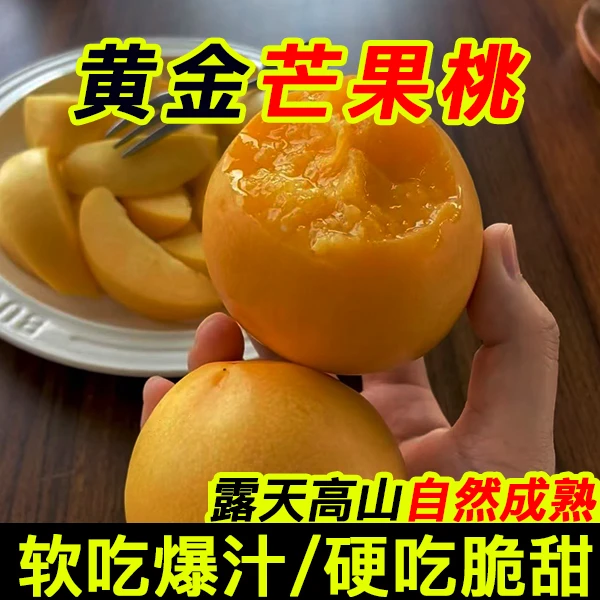 山东蒙阴黄金油桃露天高山种植芒果桃新鲜水果应季脆甜2-4.5斤