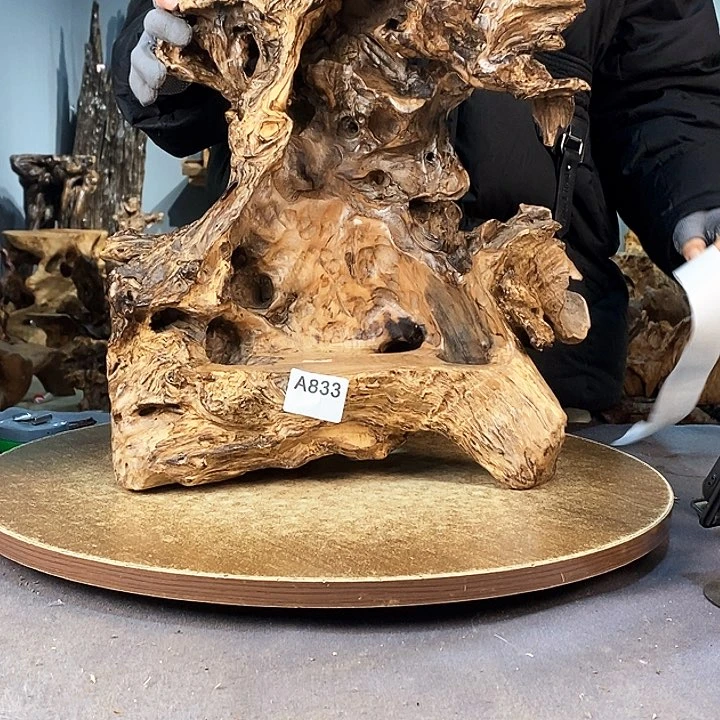 茶盏山*833株木的随行的根艺