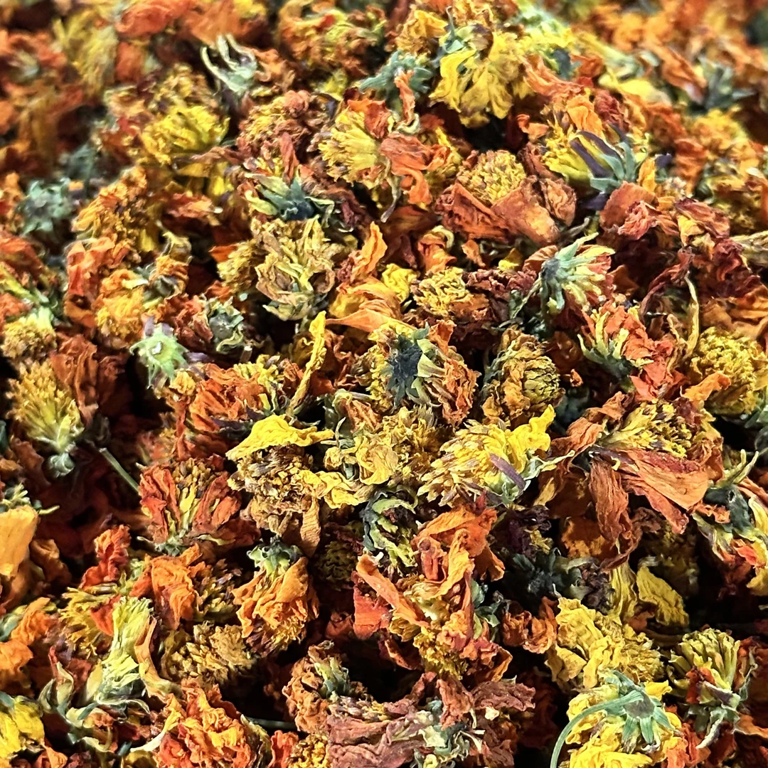 天山冰菊 胎菊雪菊泡水煮茶自然花香