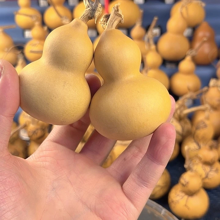 葫芦一物一拍所见即所得