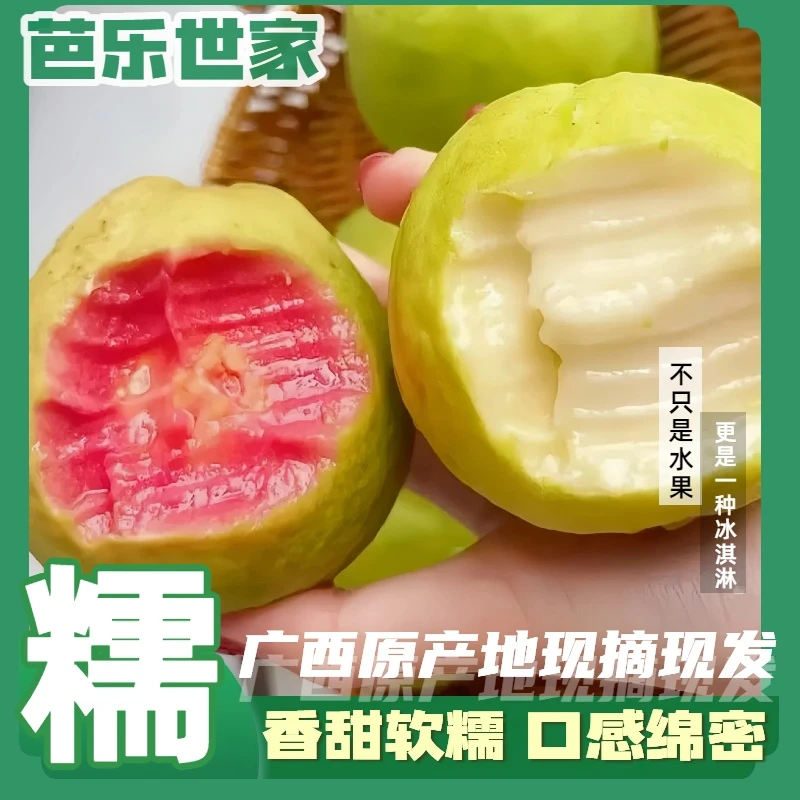 【软糯口感】广西产区直发当季软糯香甜奶油红白芭乐3斤5斤番石榴