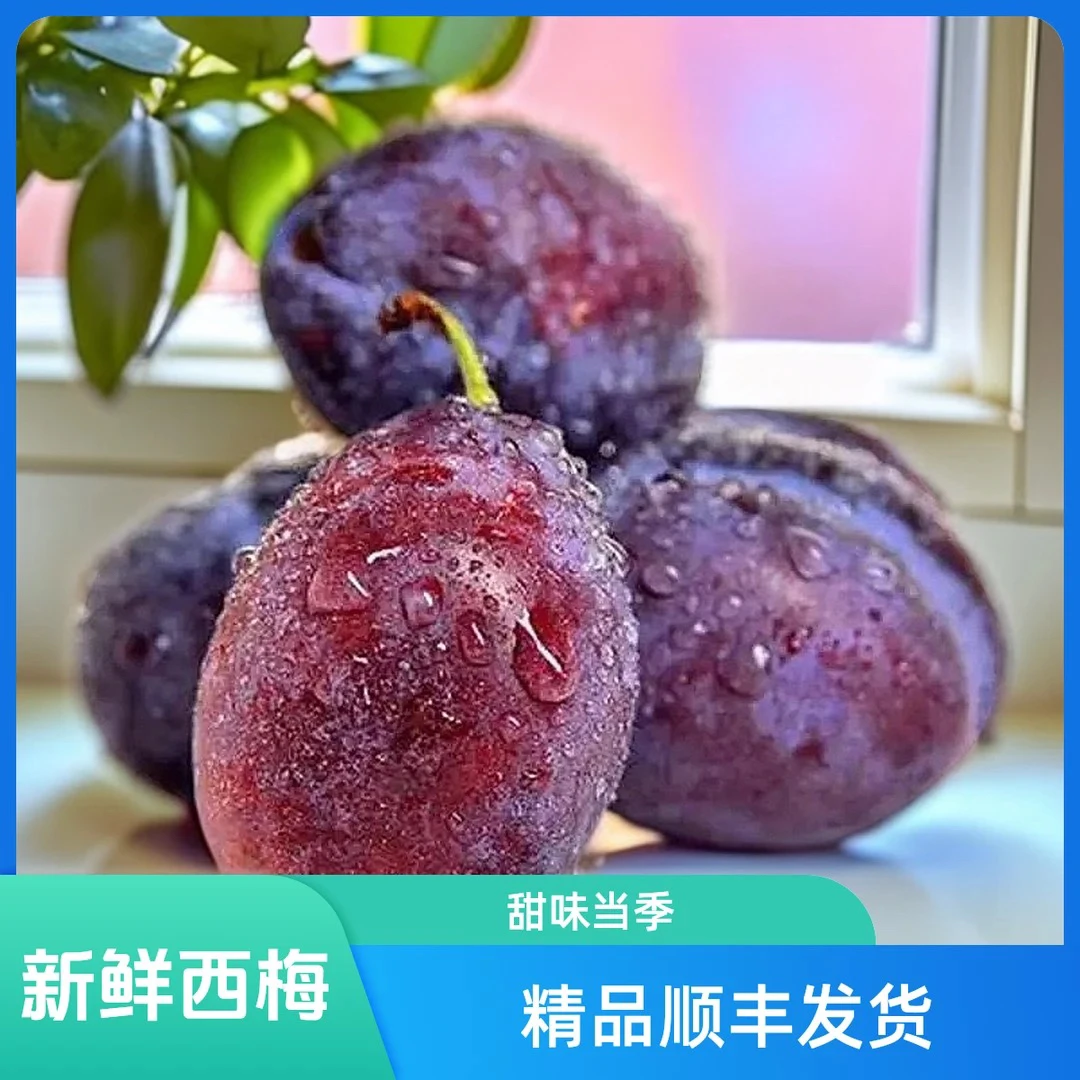 精品【顺丰包邮】新疆法兰西新鲜西梅无蔗糖无添加低脂孕妇零食特产